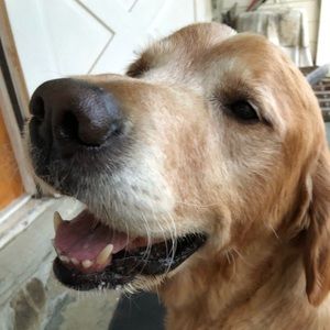 Meet your Posher, Kaitlyn